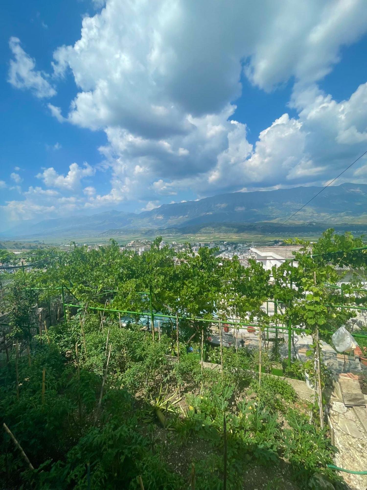 Panoramic View Guest House Gjirokaster Exterior photo